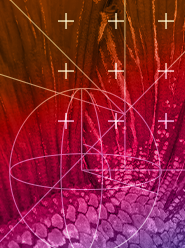 DORSAL-IoT